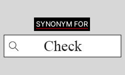 Check - Definition, Meaning & Synonyms