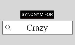 110 Synonyms for Crazy with Examples