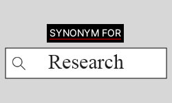 a synonym for research is