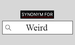 Synonyms for weird  weird synonyms 