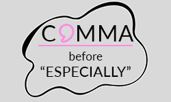 Comma-before-especially-01