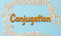 Conjugation-01