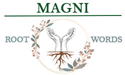Magni-01