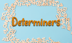 Determiners-01