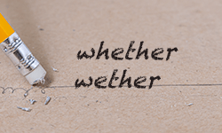 Whether-or-wether-01