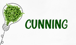 Cunning ~ Definition, Meaning & Use In A Sentence