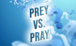 Prey-vs-pray-01