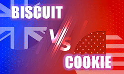 Biscuit-vs-Cookie-01